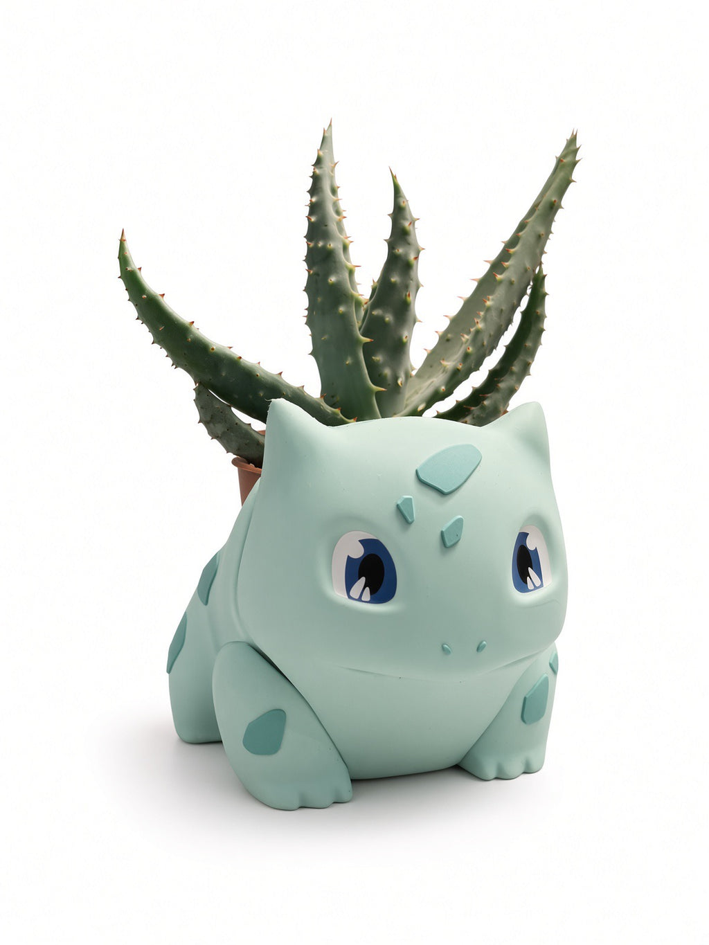 Monster Plant
