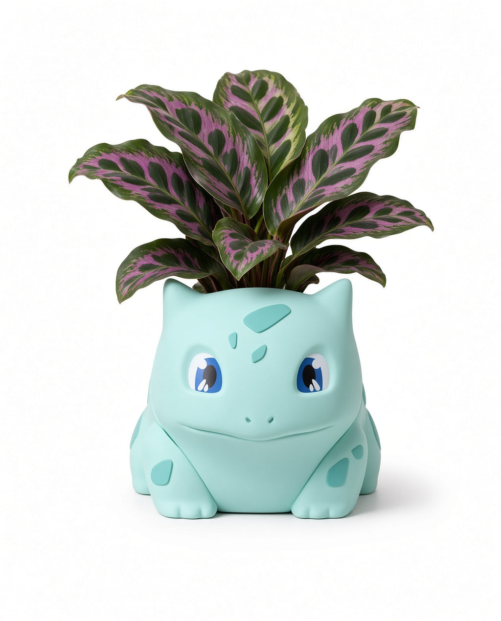 Monster Plant