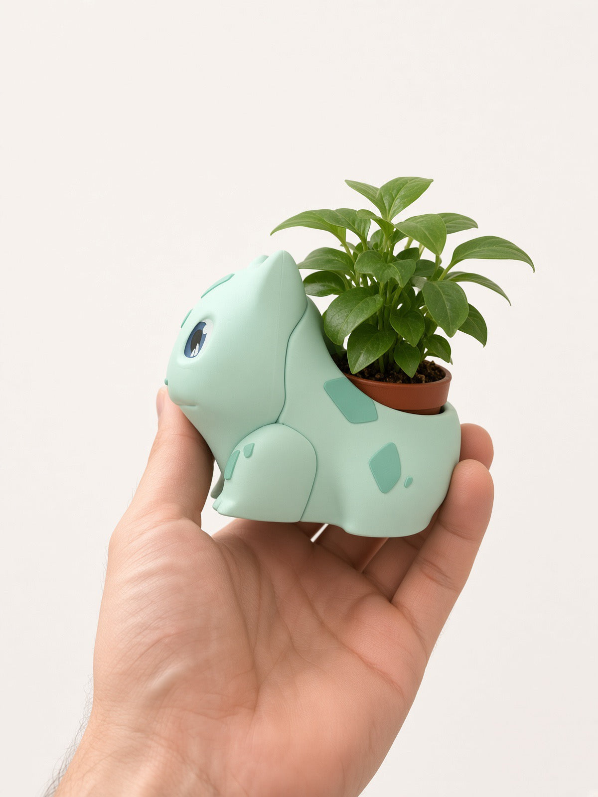 Monster Plant