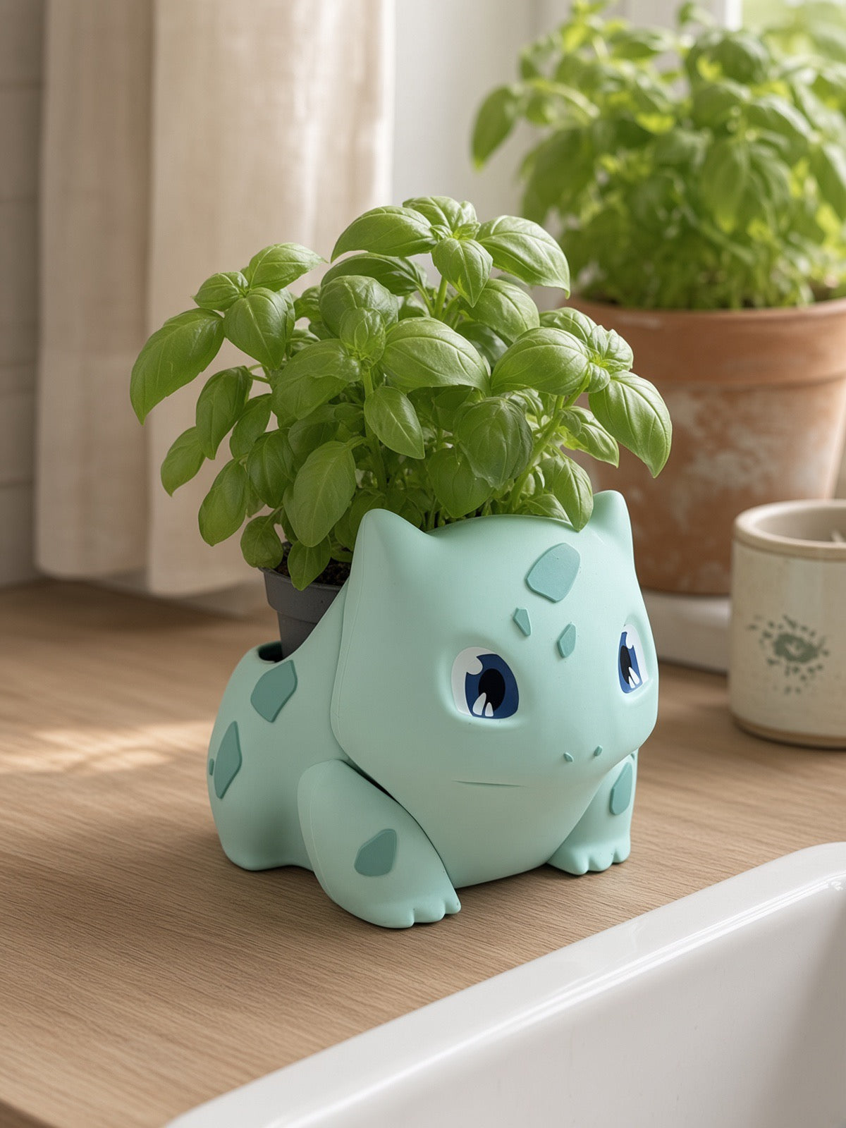Monster Plant